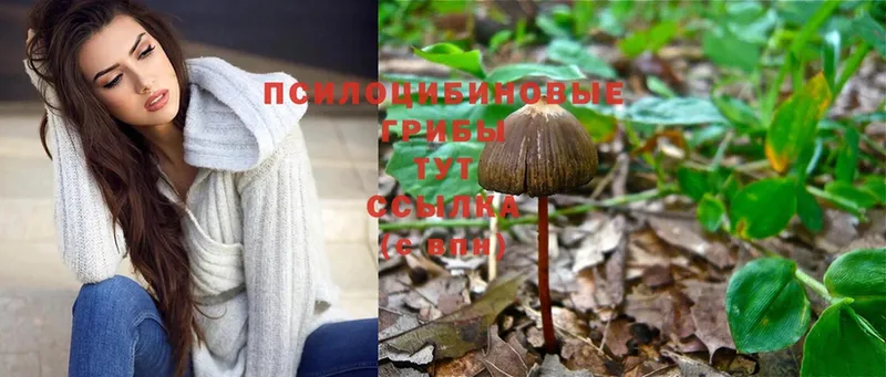 Псилоцибиновые грибы MAGIC MUSHROOMS  купить   kraken вход  Карабулак 